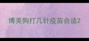 博美狗打几针疫苗合适