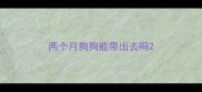 两个月狗狗能带出去吗