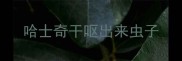 哈士奇干呕出来虫子