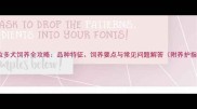 拉布拉多犬饲养全攻略品种特征饲养要点与常见问题解答附养护指南