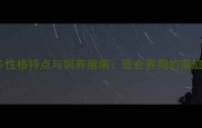 拉布拉多性格特点与饲养指南适合养狗的家庭必看