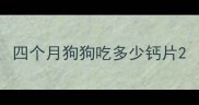 四个月狗狗吃多少钙片