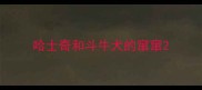 哈士奇和斗牛犬的窜窜