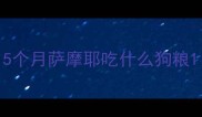 5个月萨摩耶吃什么狗粮