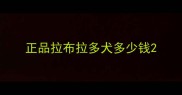 正品拉布拉多犬多少钱