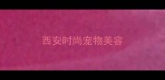 西安时尚宠物美容