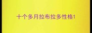 十个多月拉布拉多性格