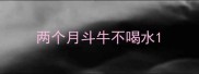 两个月斗牛不喝水