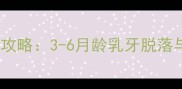猫咪换牙期全攻略3-6月龄乳牙脱落与恒牙生长全