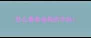 怎么看泰迪狗的年龄