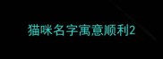 猫咪名字寓意顺利