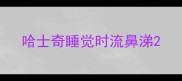 哈士奇睡觉时流鼻涕