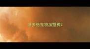 派多格宠物加盟费