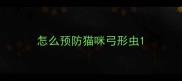怎么预防猫咪弓形虫