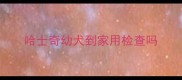 哈士奇幼犬到家用检查吗