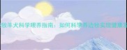 边境牧羊犬科学喂养指南如何科学养边牧实现健康发育