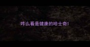 咋么看是健康的哈士奇