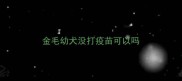 金毛幼犬没打疫苗可以吗