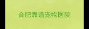 合肥靠谱宠物医院