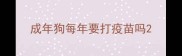 成年狗每年要打疫苗吗