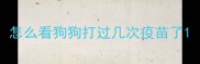 怎么看狗狗打过几次疫苗了