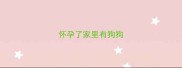 怀孕了家里有狗狗