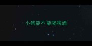 小狗能不能喝啤酒