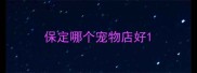 保定哪个宠物店好