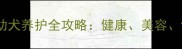 奶白拉布拉多幼犬养护全攻略健康美容饮食一网打尽
