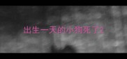 出生一天的小狗死了