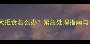 两个月金毛幼犬拒食怎么办紧急处理指南与专业兽医建议