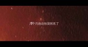 几个月的边牧突然死了