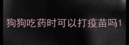 狗狗吃药时可以打疫苗吗