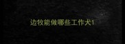 边牧能做哪些工作犬
