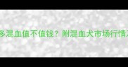 金毛拉布拉多混血值不值钱附混血犬市场行情及养育指南