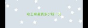 哈士奇最贵多少钱一只