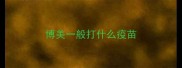 博美一般打什么疫苗