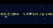 昆明宠物游泳池推荐专业水乐园让爱宠清凉一夏