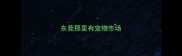 东莞那里有宠物市场