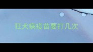 狂犬病疫苗要打几次