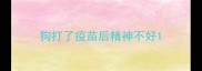 狗打了疫苗后精神不好