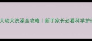 两个月大幼犬洗澡全攻略新手家长必看科学护理指南