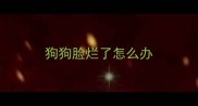 狗狗脸烂了怎么办