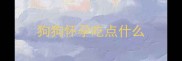 狗狗怀孕吃点什么