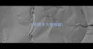 小狗崽多久睁眼睛