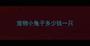 宠物小兔子多少钱一只