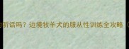 哈士奇母狗真的听话吗边境牧羊犬的服从性训练全攻略附饲养指南
