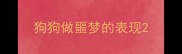 狗狗做噩梦的表现