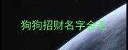 狗狗招财名字金毛