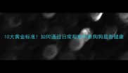 10大黄金标准如何通过日常观察判断狗狗是否健康